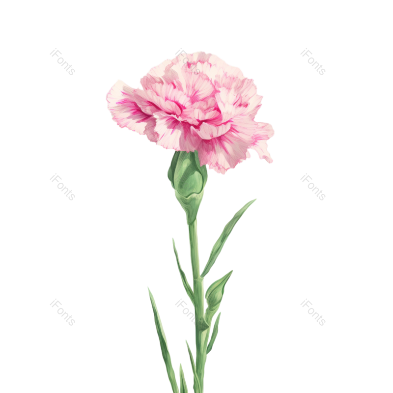 插画图片,元素,PNG,免抠素材